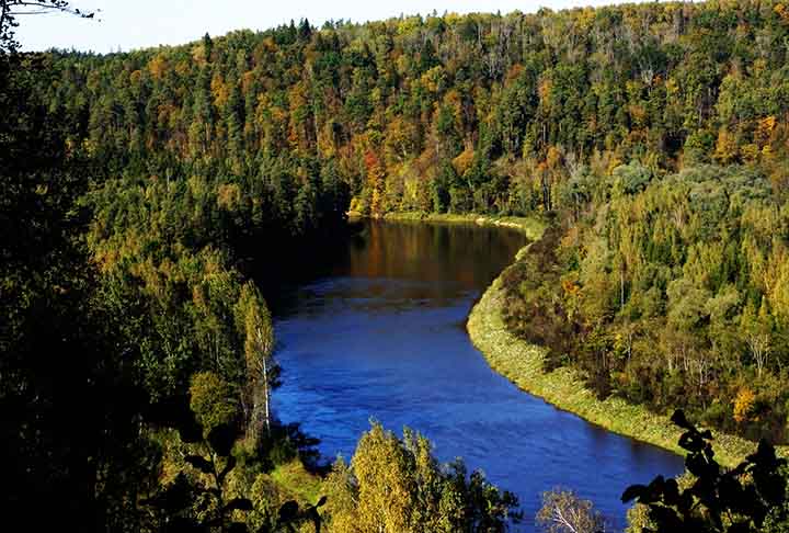 O Parque Nacional de Gauja é o maior e mais antigo parque nacional da Letônia. Localizado em Vidzeme, foi criado em 14 de setembro de 1973, e possui uma área de 917,45 km².