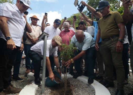 Profetas da chuva indicam que o inverno de 2026 deve variar entre fraco e intermediário, com maior concentração de chuvas entre março e maio, segundo a maioria das leituras da natureza.