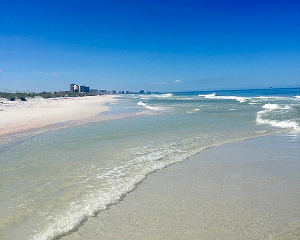 Em 1948, na Flórida,  começou a se espalhar a Lenda do Pinguim Gigante. Um ser que habitaria a Praia de Clearwater Beach, numa ilha do Golfo do México, localizada no centro-oeste da Flórida. Mas o tal animal foi inventado por um morador, que enganou o povo na região por muito tempo.