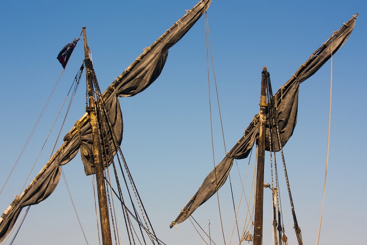 Originárias da África, as lagartixas chegaram ao Brasil por intermédio dos navios negreiros.