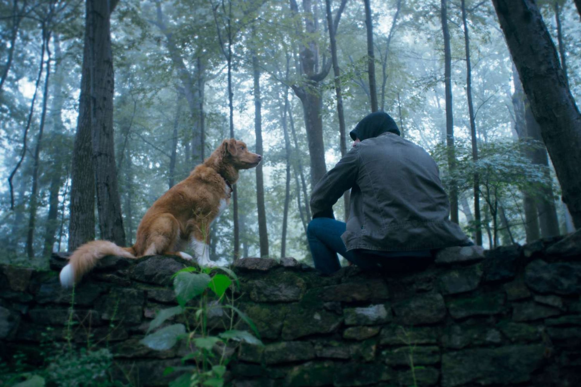 Cena do filme "Bom Menino" com Indy The Dog