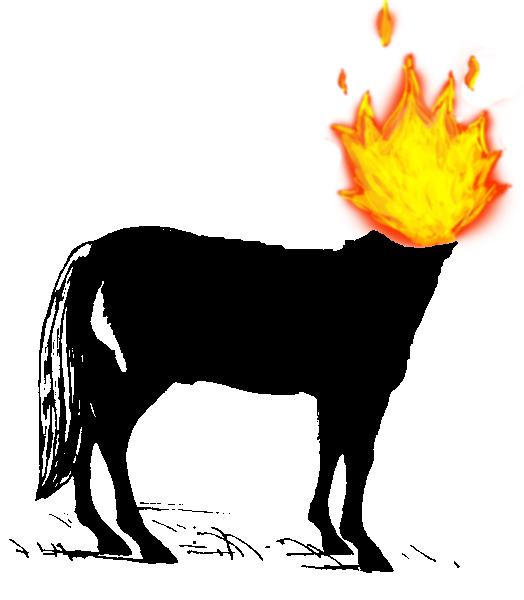 Do pescoço para cima, labaredas de fogo ocupam o lugar onde haveria a cabeça. Segundo a lenda, quando vira a mula, a mulher galopa por ruas próximas a igrejas, causando medo em que se depara com ela. 