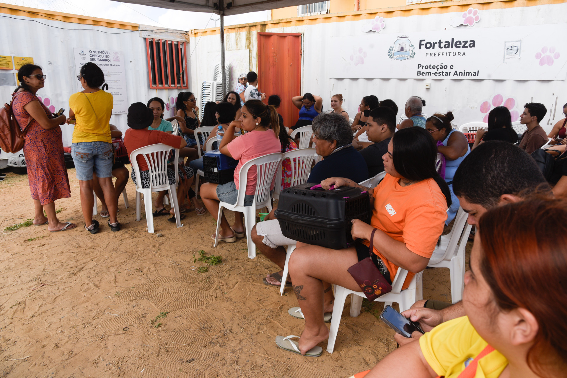 Fortaleza, CE, BR - 10.01.2026 - Mutirão de castração de felinos no VetMóvel da Areninha do Bairro Pirambu. Foto Nayana Melo/Especial O POVO
