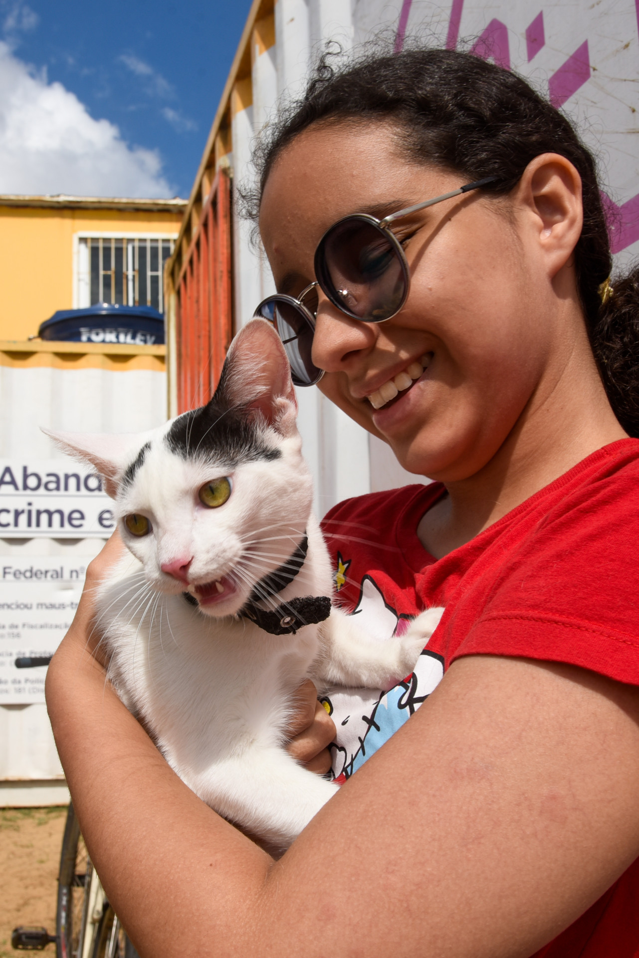Fortaleza, CE, BR - 10.01.2026 - Mutirão de castração de felinos no VetMóvel da Areninha do Bairro Pirambu. Foto Nayana Melo/Especial O POVO