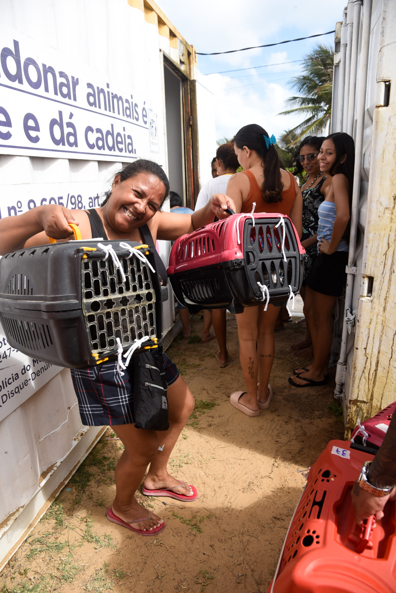 Fortaleza, CE, BR - 10.01.2026 - Mutirão de castração de felinos no VetMóvel da Areninha do Bairro Pirambu. Foto Nayana Melo/Especial O POVO