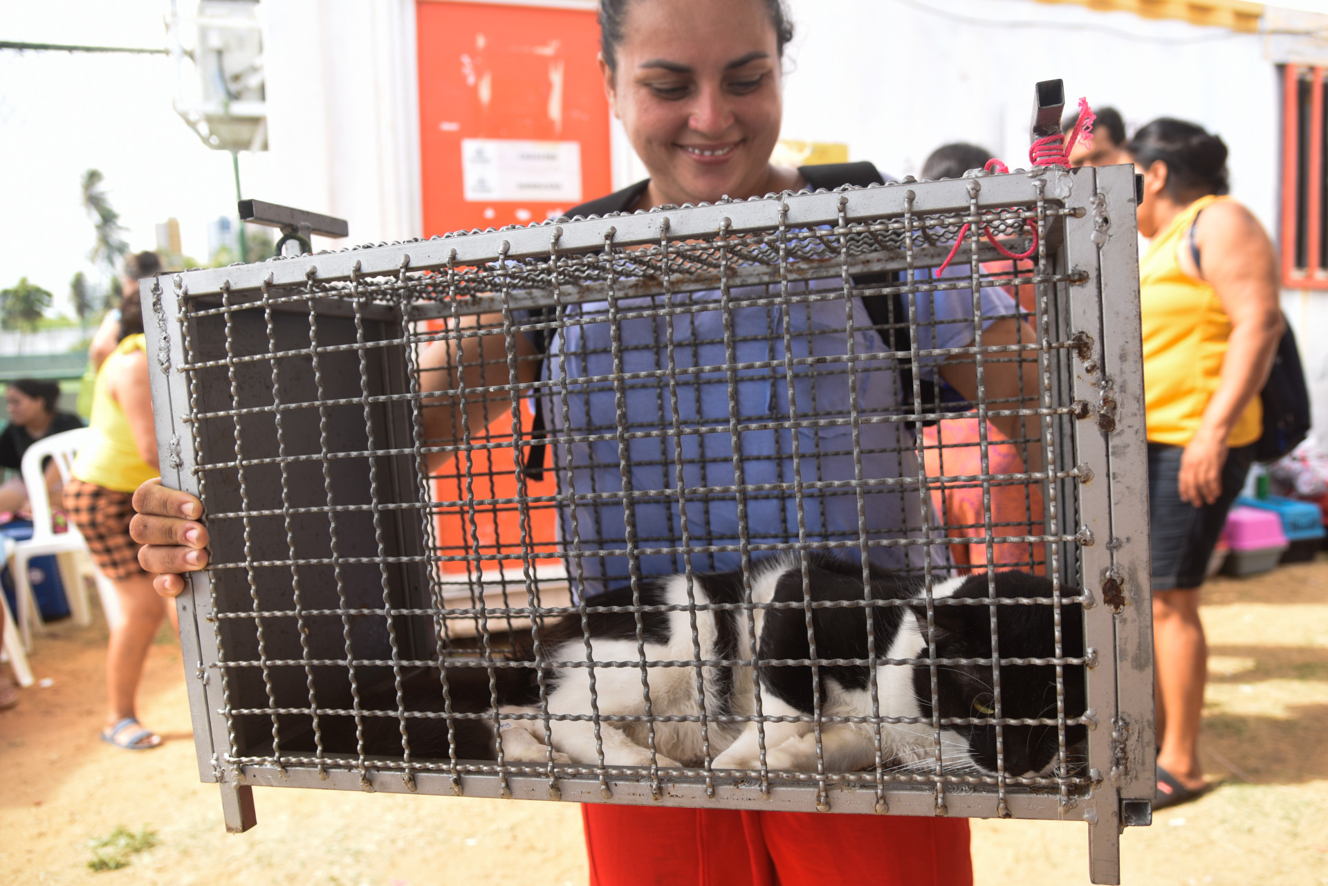 Fortaleza, CE, BR - 10.01.2026 - Mutirão de castração de felinos no VetMóvel da Areninha do Bairro Pirambu. Foto Nayana Melo/Especial O POVO