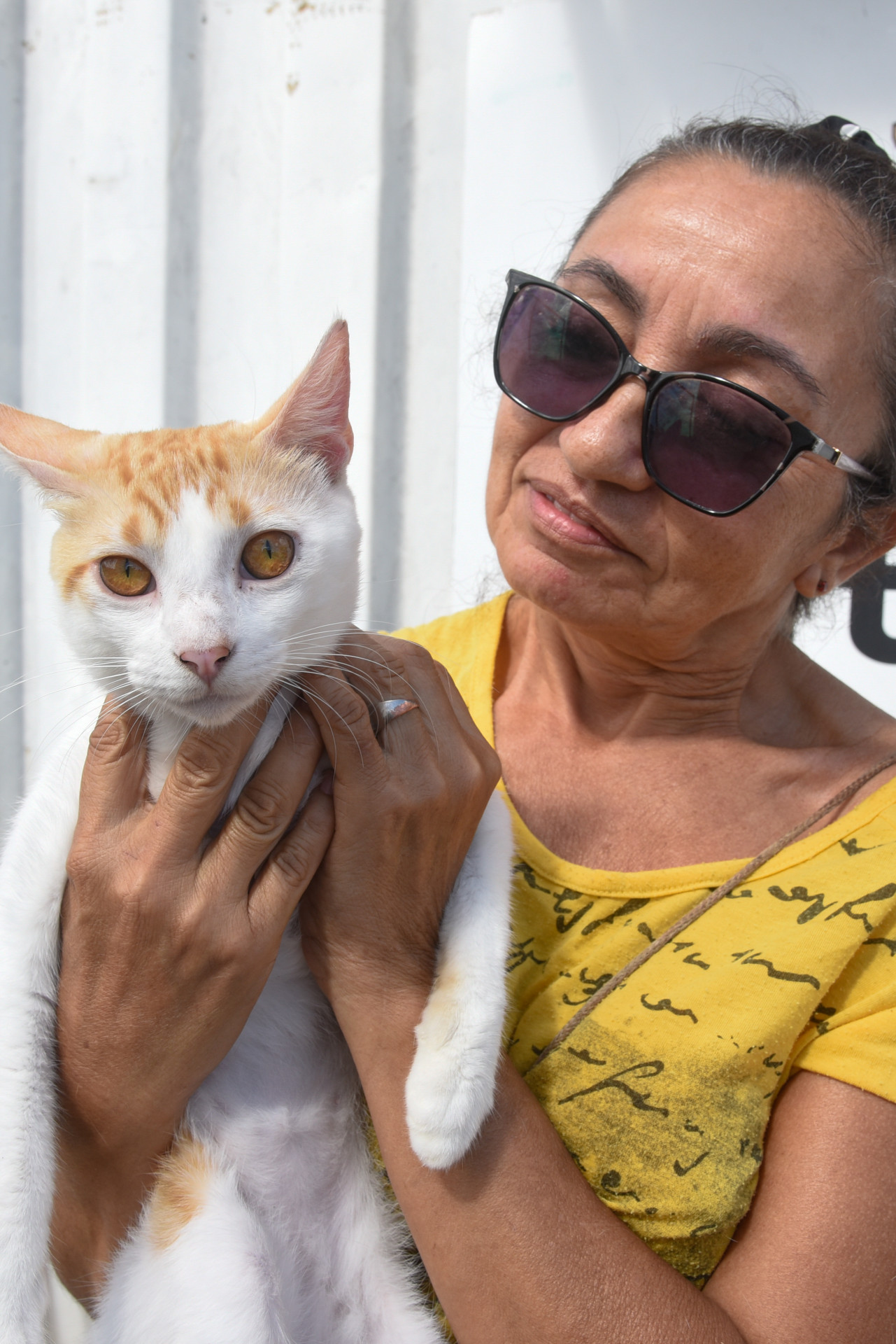 Fortaleza, CE, BR - 10.01.2026 - Mutirão de castração de felinos no VetMóvel da Areninha do Bairro Pirambu. Foto Nayana Melo/Especial O POVO