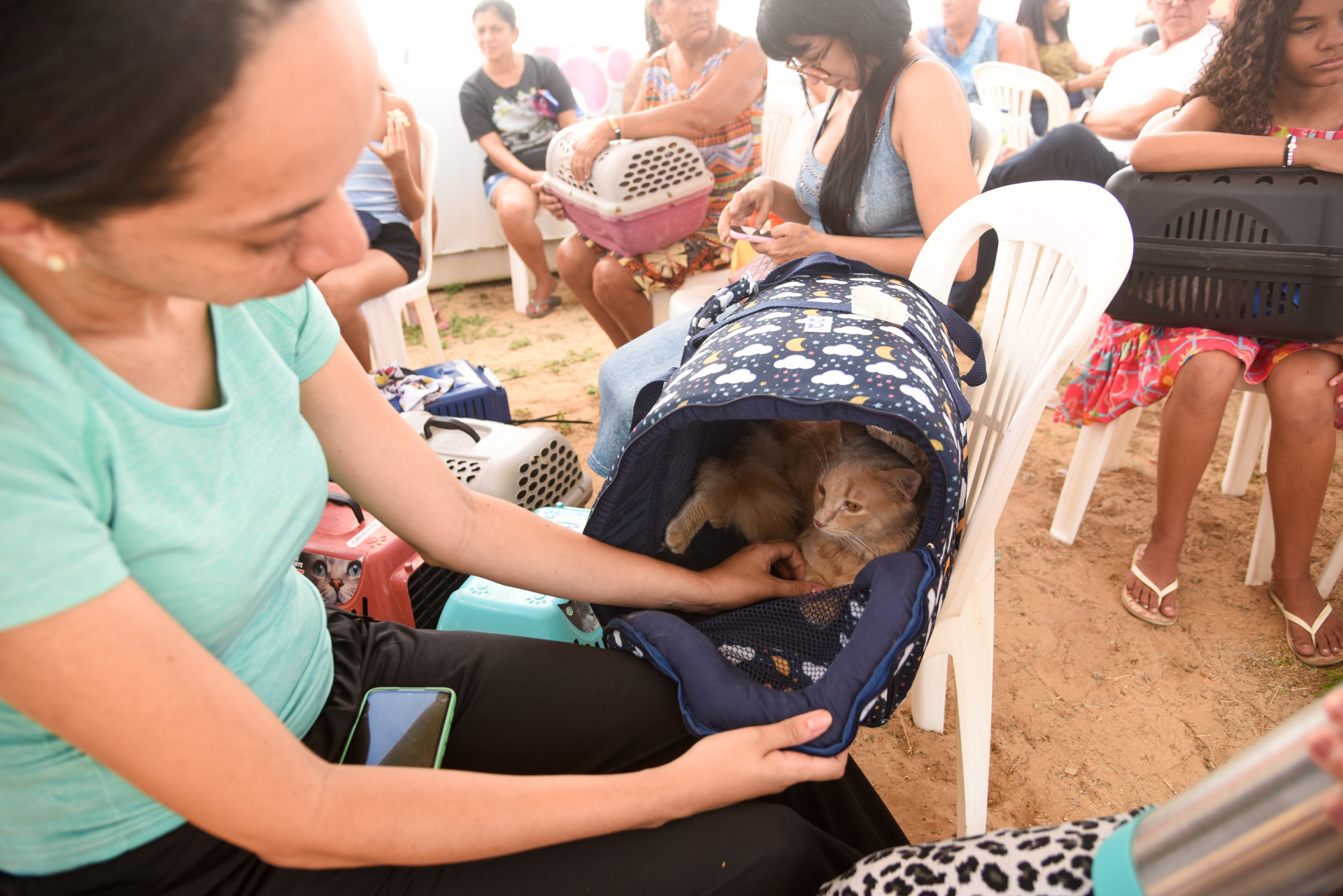 Fortaleza, CE, BR - 10.01.2026 - Mutirão de castração de felinos no VetMóvel da Areninha do Bairro Pirambu. Foto Nayana Melo/Especial O POVO