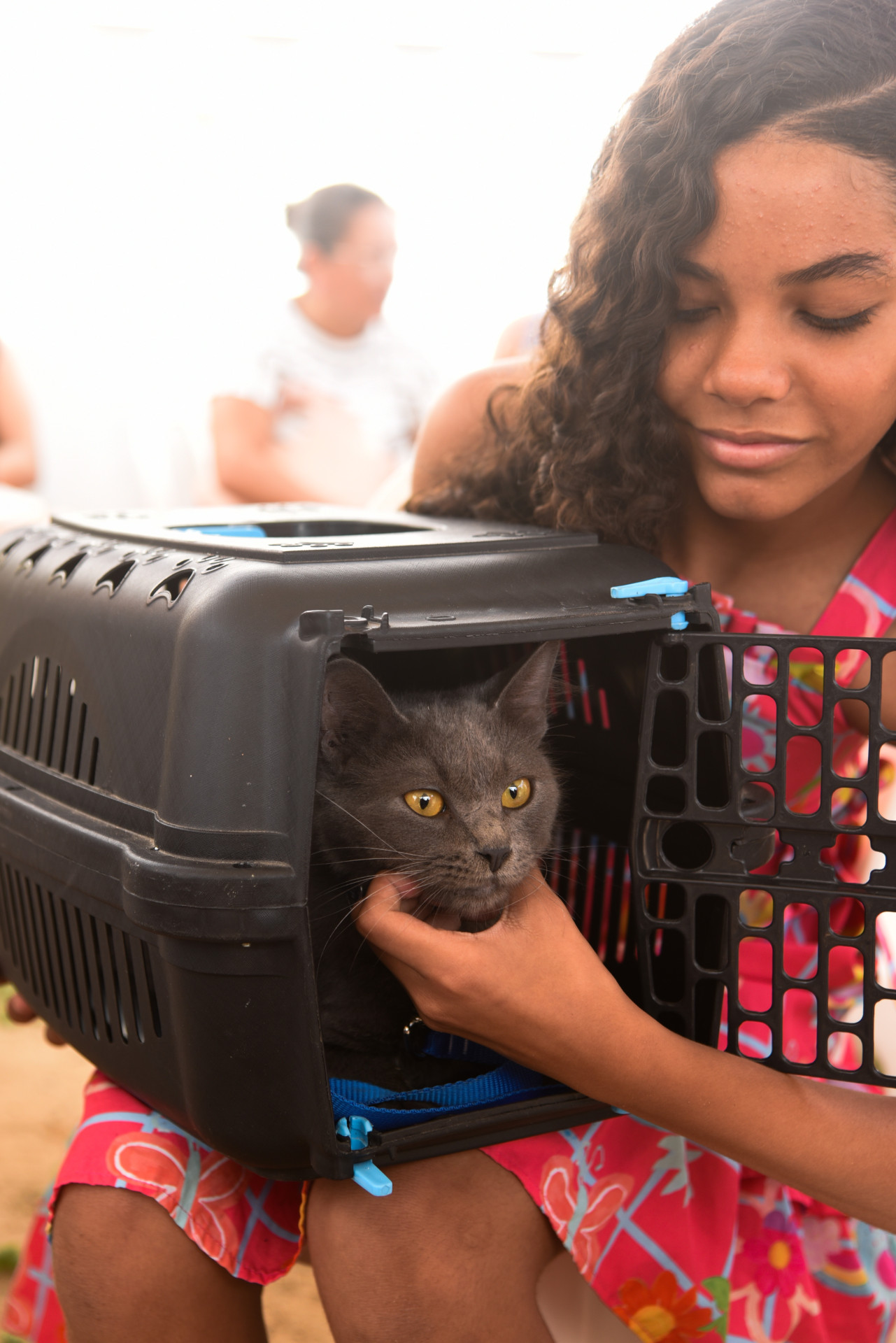 Fortaleza, CE, BR - 10.01.2026 - Mutirão de castração de felinos no VetMóvel da Areninha do Bairro Pirambu. Foto Nayana Melo/Especial O POVO