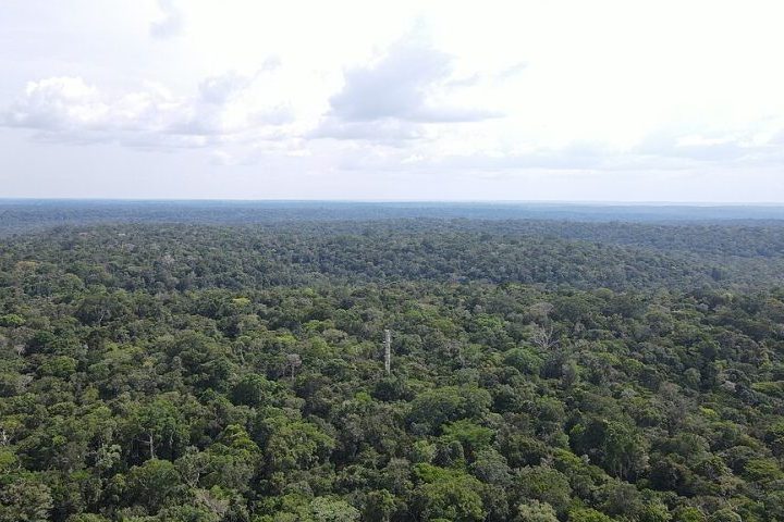 Durante a era Paleoproterozóica, erupções moldaram a paisagem e a composição mineral da região.