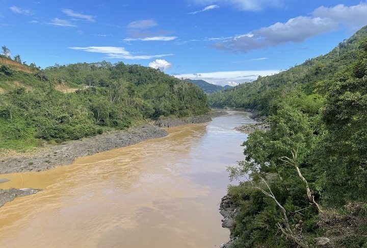 Em uma atuação em conjunto com instituições de Myanmar, os pesquisadores coletaram mais de uma dúzia de exemplares de Bagarius protos nos rios Salween e Nanting. 
