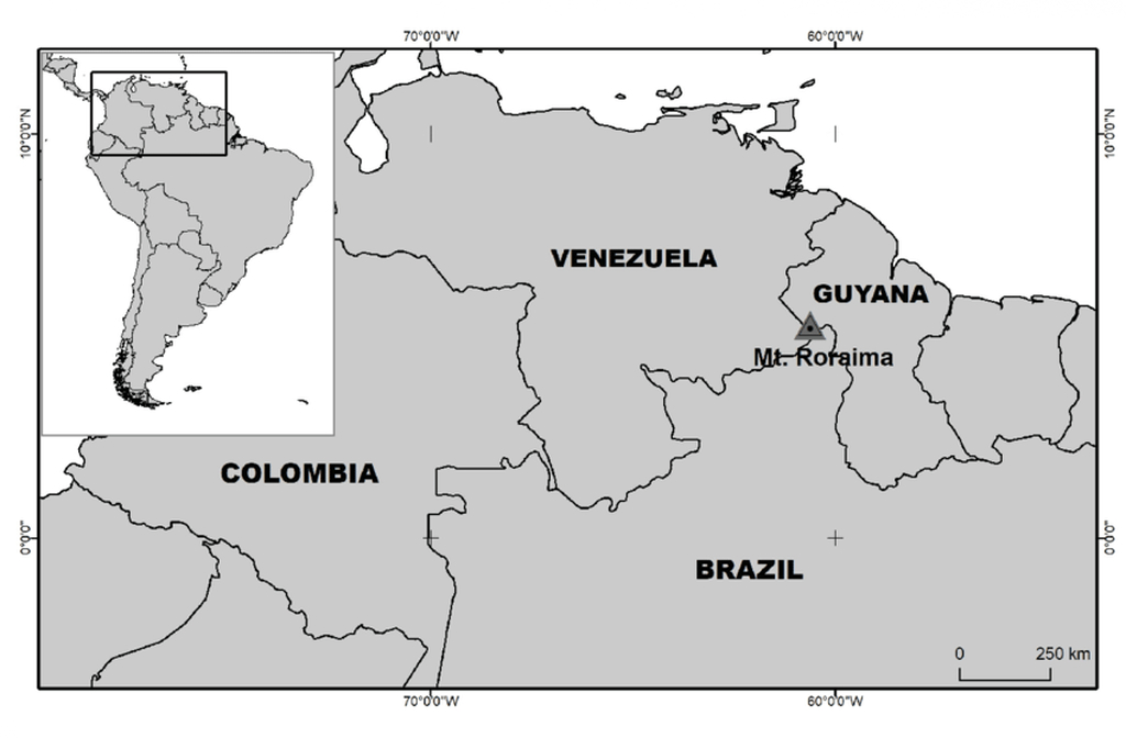 Localizado na região da Gran Sabana, no sudeste da Venezuela, se estende até o estado de Roraima, no Brasil, e a Guiana. É considerado um dos pontos mais marcantes da tríplice fronteira, com acesso principal pelo lado venezuelano. Sua posição estratégica o torna símbolo de união entre três países. A geografia singular reforça sua aura de monumento natural internacional.
