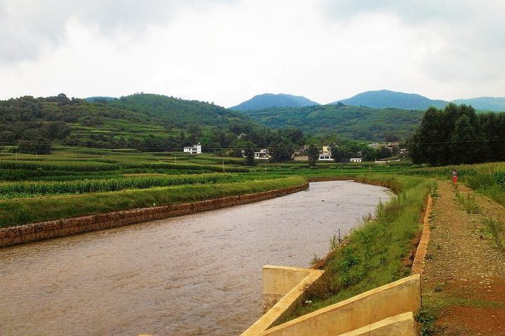 A descoberta é resultado de expedições realizadas entre 2004 e 2024 e foi publicada em junho de 2024 na revista Zoosystematics and Evolution.