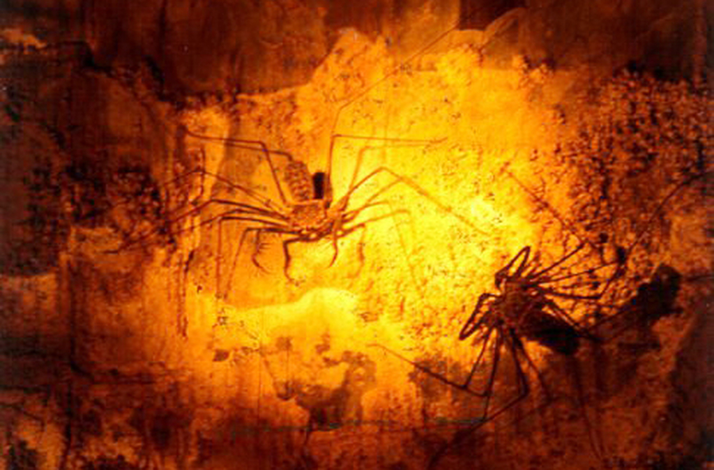 A descoberta também reacende o interesse por fósseis na região. As formações estão próximas a sítios paleontológicos, e há indícios de pegadas de animais pré-históricos nas rochas vizinhas, o que pode ampliar o escopo das pesquisas científicas locais.