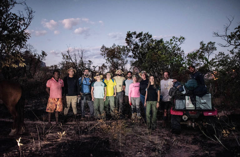 A equipe responsável pela identificação das chaminés de fada brasileiras é composta por pesquisadores da Universidade Federal de Goiás (UFG), que realizavam estudos de campo na área do parque. Eles encontraram as formações durante uma expedição voltada à análise de processos erosivos no cerrado.

