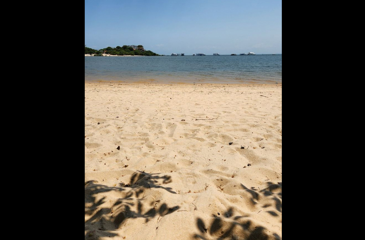 O clima amazônico, por sua vez, divide-se em estação seca e chuvosa. Na seca, surgem praias de água doce e a caminhada entre ruínas se torna mais fácil. Já na cheia, o rio Tapajós domina a paisagem e altera a logística de acesso.