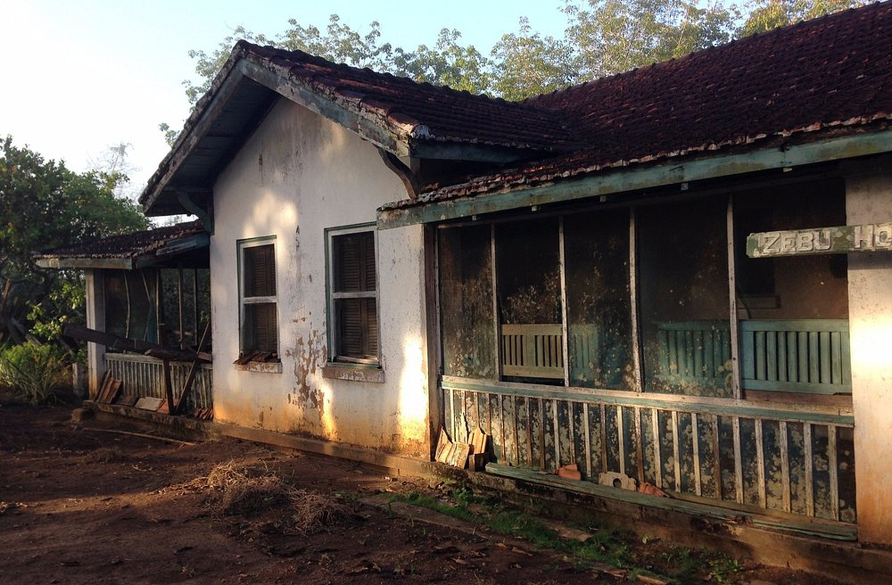 A “Palm Avenue” concentra casas de madeira típicas do meio-oeste americano. Algumas foram restauradas e outras estão em decadência, habitadas por moradores locais. O contraste entre preservação e abandono reforça a atmosfera melancólica da cidade.