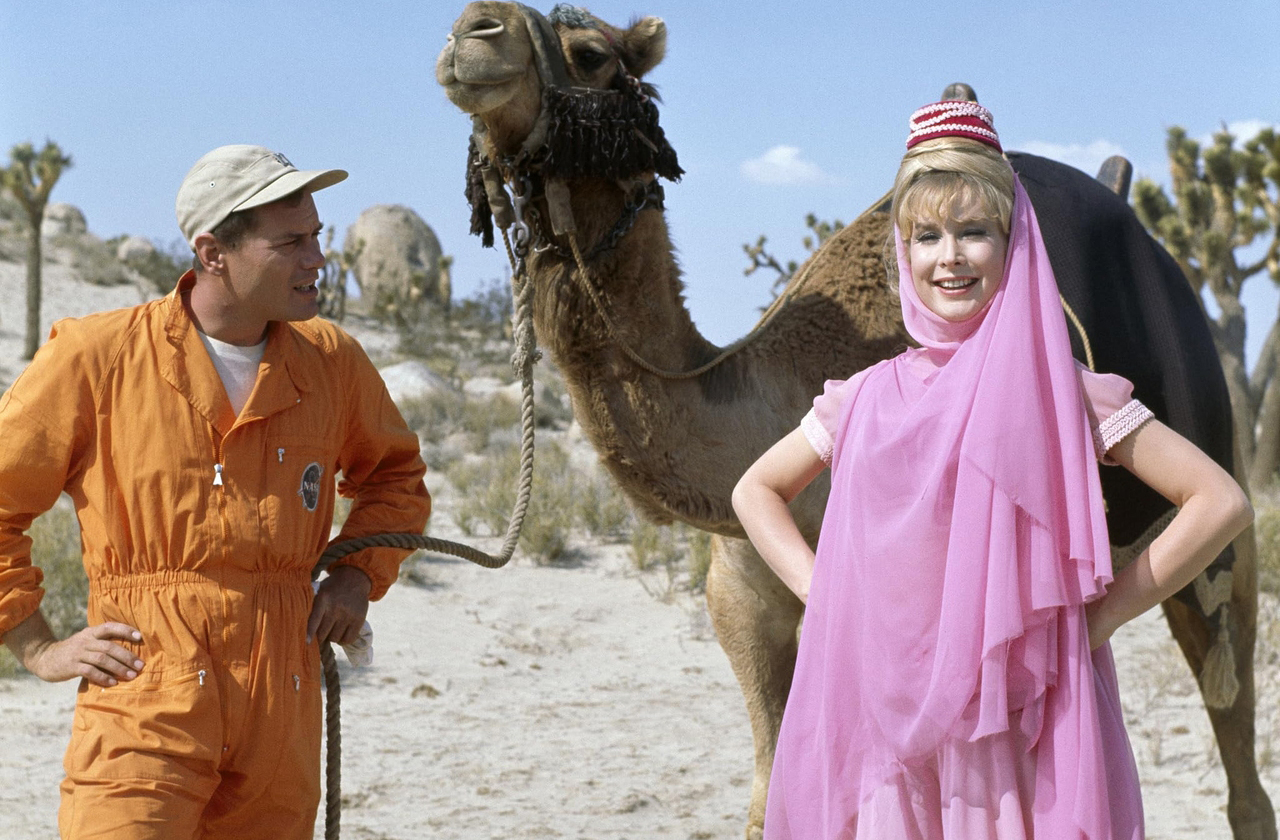 No Brasil, a série estreou em 1966 pela TV Paulista, tornando-se logo um sucesso de público com seu humor inocente e encantador. Desde então foi exibido em diversas emissoras, entre elas TV Excelsior, Record, Band, Tupi, Rede TV, Rede 21 e Warner Channel. Alguns episódios puderam ser assistidos também pelo YouTube.