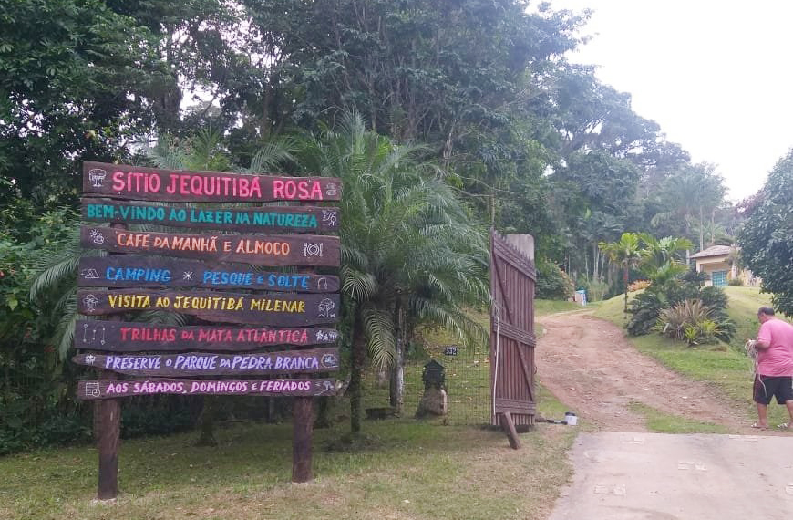A FioCruz informou que a conservação da árvore se deve ao acesso restrito pelo Sítio Jequitibá-Rosa, mantido por Carlos Sergio Raposo. A propriedade abriga remanescentes da Floresta da Pedra Branca, com rica diversidade vegetal. Outros exemplares da espécie também são preservados no local.