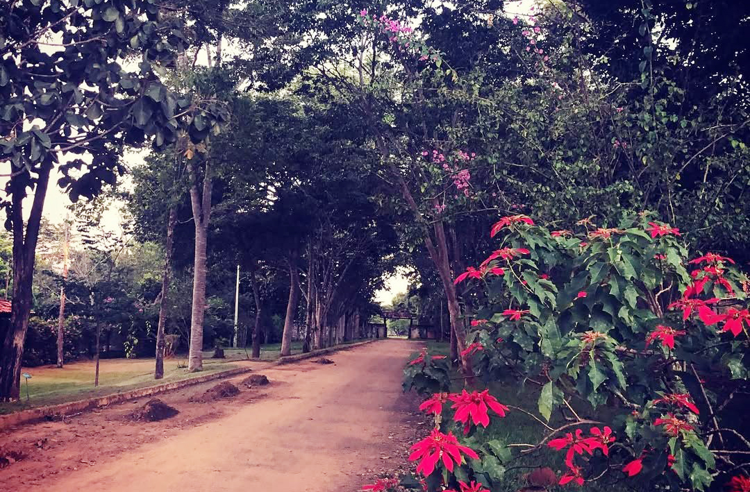 A comunidade valoriza a sustentabilidade e o cuidado com o meio ambiente. Práticas como reciclagem, cultivo orgânico e preservação das nascentes são comuns. O respeito à terra é parte da cultura e da espiritualidade local. Tudo é feito com consciência e amor pelo território.