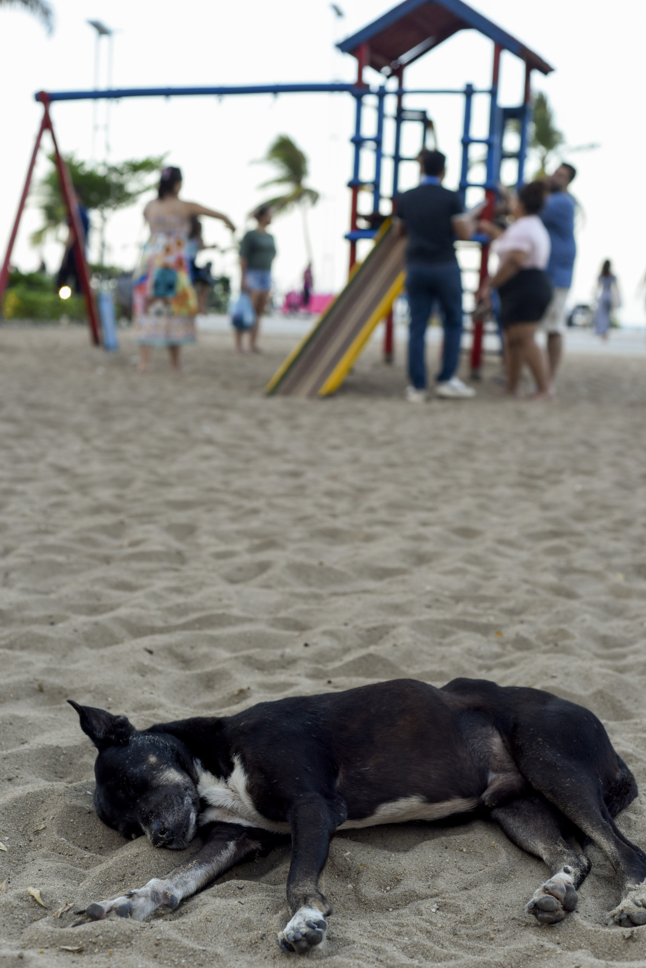 Fortaleza, CE/BR-Parquinho na Beira-Mar.