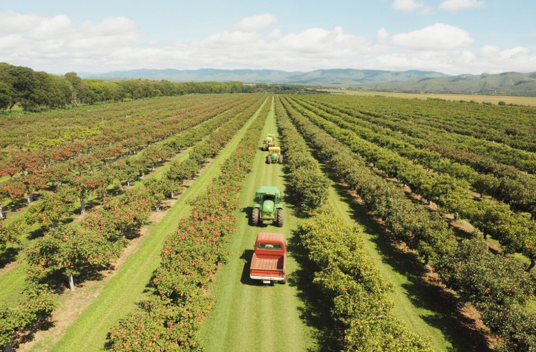 São classificadas em diferentes tipos, conforme sua principal atividade: agrícolas (focadas no cultivo de grãos, frutas ou outros produtos agrícolas), pecuárias (dedicadas à criação de gado e outros animais), mistas (combinam atividades agrícolas e pecuárias) e experimentais (voltadas para pesquisa e desenvolvimento agropecuário).

