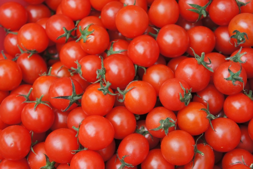 Com o tempo, a culinária europeia passou a incorporar o tomate em seus pratos, especialmente na Itália (século XVI), onde foi batizado de pomodoro (maçã de ouro).