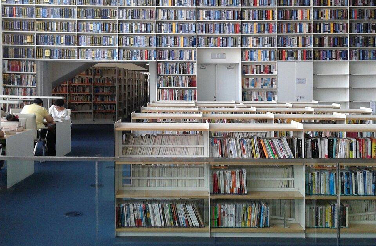 A obra questiona o papel das bibliotecas na era digital, mostrando que o espaço físico ainda pode ser revolucionário. Não apenas depósito de livros, mas experiência arquitetônica, um futuro onde cultura e design caminham de forma sincrônica.