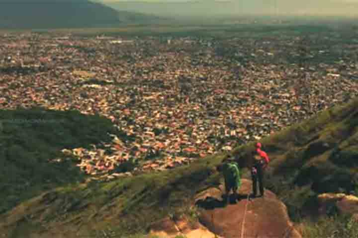 Neste cenário, árvores antigas estocam carbono, estabilizam o microclima e sustentam cadeias alimentares complexas, benefícios difíceis de replicar com plantios recentes.