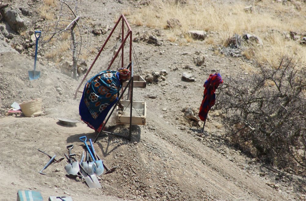 Escavações ainda ocorrem em Olduvai, com novas descobertas que continuam a enriquecer o conhecimento sobre nossos ancestrais e seu modo de vida. Cada descoberta de Olduvai influenciou museus, universidades e livros didáticos em todo o mundo, redefinindo a origem da humanidade.