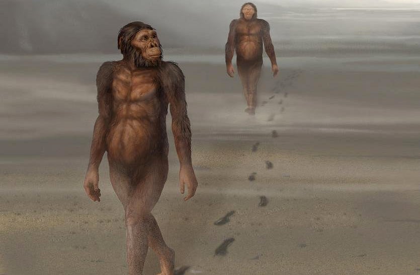 Olduvai nos lembra que a história da humanidade começou com passos simples, em uma paisagem silenciosa, cheia de descobertas.  Mais que um sítio arqueológico, é uma cápsula do tempo que revela como nos tornamos humanos. Um lugar onde o passado ainda fala.
