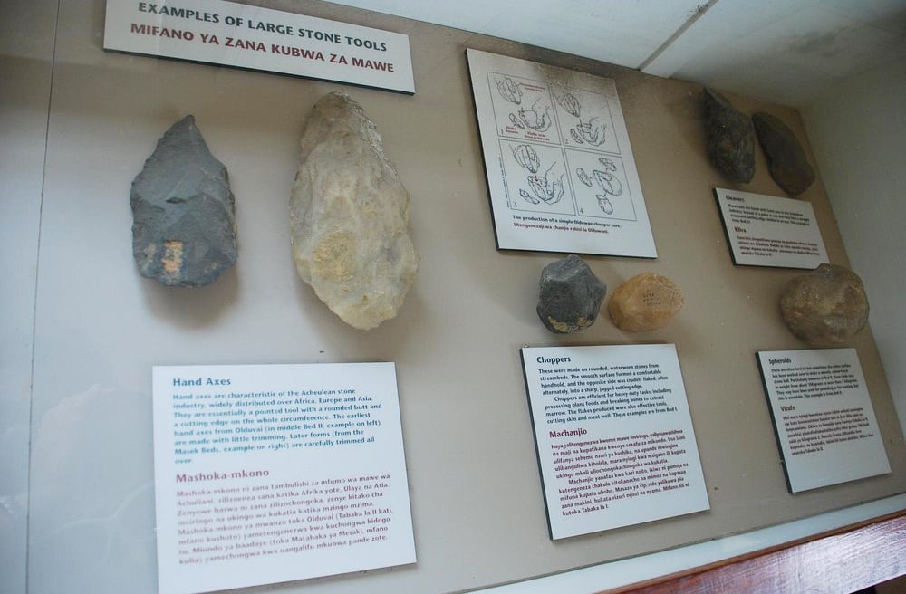 A região foi moldada por atividade tectônica e vulcânica, criando camadas sedimentares que preservaram fósseis e artefatos por milhões de anos.