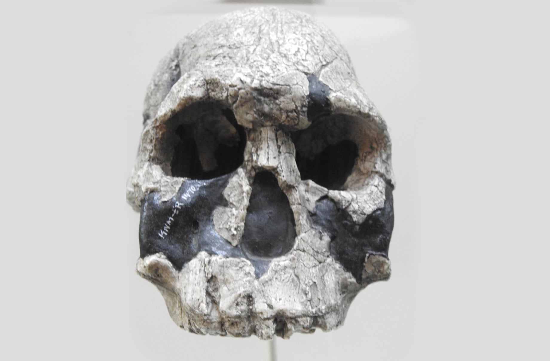 Olduvai é um dos sítios mais estudados do mundo, essencial para entender o surgimento do bipedalismo, uso de ferramentas e comportamento social dos primeiros humanos. Pesquisadores usam tecnologias como datação por argônio e escaneamento 3D para estudar os fósseis com mais precisão.