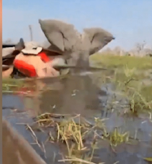 Guias locais auxiliaram no resgate imediato, e todos os turistas conseguiram sair da água em segurança.