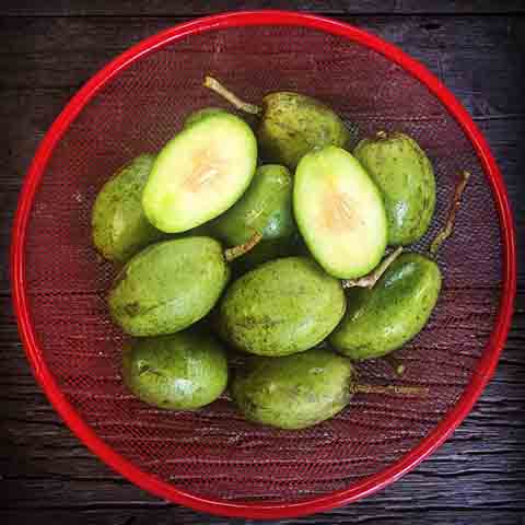 Este fruto possui casca lisa e fina, com coloração amarela brilhante quando madura. Além disso, tem polpa suculenta, aromática e de sabor agridoce e levemente ácido. 