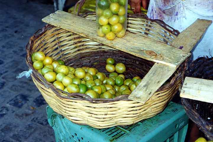 Além disso, o estudo destaca que o aproveitamento integral do umbu pode contribuir para a economia circular e para a geração de renda no semiárido nordestino, região historicamente afetada pela escassez hídrica.