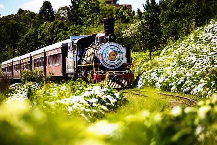 Viajar de trem é uma experiência ainda pouco explorada por muitos brasileiros. O país, com sua impressionante diversidade de paisagens — que vão das montanhas e cerrados aos encantadores cenários litorâneos — oferece passeios ferroviários como uma forma única e encantadora de apreciar toda essa beleza natural.