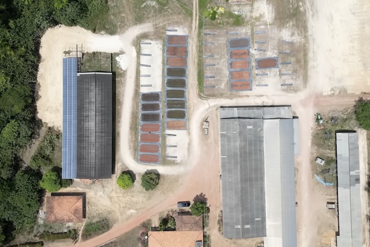 O modelo, que mistura diferentes espécies no mesmo terreno, recupera áreas degradadas e tornou-se referência mundial em agricultura sustentável.