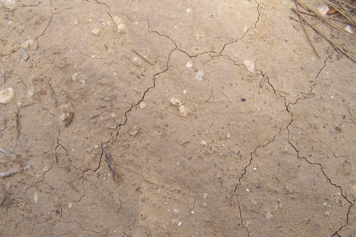 Esse solo tem uma característica única: é fácil de escavar, mas extremamente estável e compacto quando mantido seco.