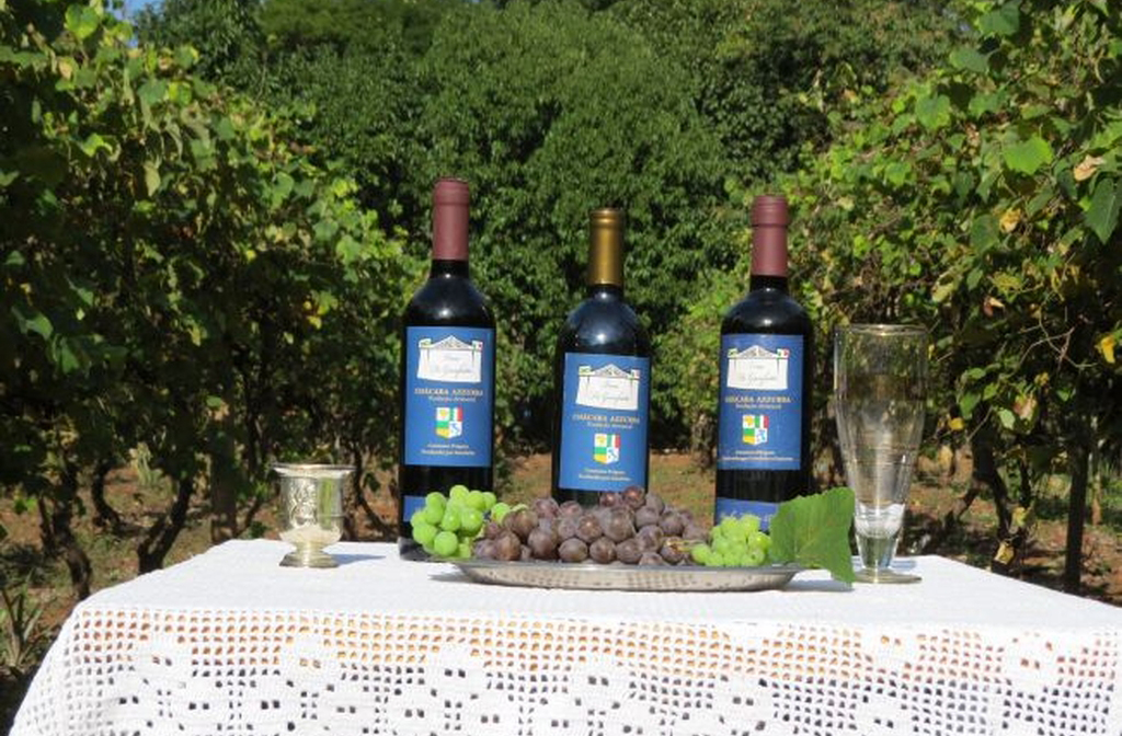 Massas artesanais, polentas, vinhos e doces típicos fazem parte do cardápio local, mantendo viva a gastronomia herdada dos imigrantes.