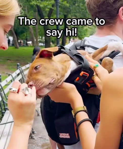 No caso de Bertha, por exemplo, Bryan destacou que ela gosta de beijos, brinquedos específicos, fazer amigos, além de ter uma certa aversão a alguns tipos de pelúcia.