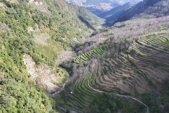 A região ao redor da Vila Gumo faz parte de uma área montanhosa típica de Yunnan, marcada por vales profundos, clima ameno e uma vegetação que mistura florestas densas com plantações tradicionais.