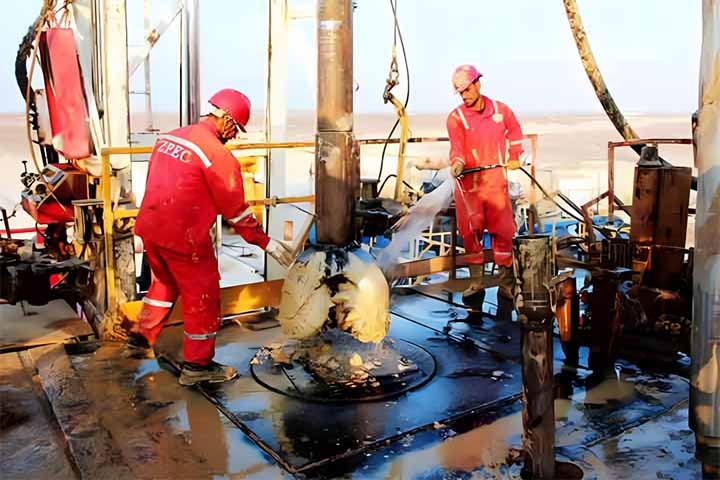 A Canal Sugar é uma joint venture (consórcio entre duas partes) entre o Egito e os Emirados Árabes no valor de 1 bilhão de dólares (R$ 6,2 bilhões na cotação atual). 
