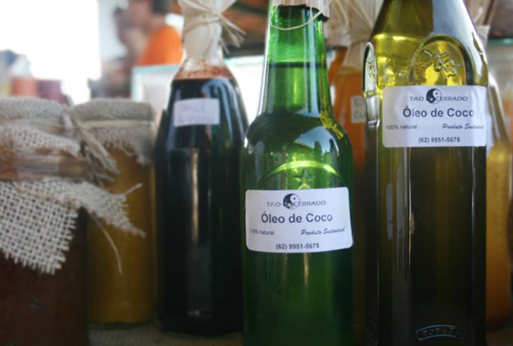 A pesquisa, publicada na revista científica Journal of Functional Foods. mostra que excesso de suplementação com óleo de coco pode prejudicar a ação da leptina e da insulina no organismo.