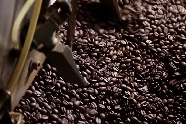 Cada tipo de semente apresenta características distintas de sabor, resistência e teor de cafeína.