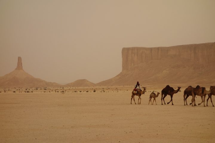 Apesar das dificuldades associadas à vida no deserto do Iraque, ele continua sendo uma paisagem fascinante e cheia de história, testemunha do passado glorioso da Mesopotâmia e do povo iraquiano.