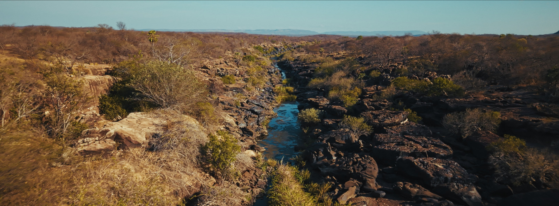 Captura de tela da exposição 
