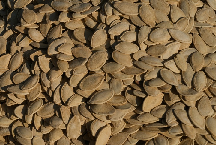 As sementes dos seus frutos são comestíveis, sendo utilizadas na culinária local e na alimentação animal.