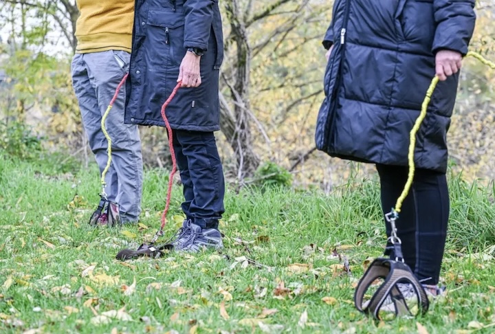 As pessoas chegam a desviar de obstáculos, ajustar o ritmo da caminhada ou lidar com o “animal” que para, puxa ou resolve deitar no chão.