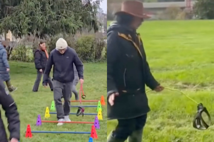 Parte do sucesso está na simplicidade da proposta. Não há gastos, responsabilidades reais nem necessidade de experiência prévia com animais.